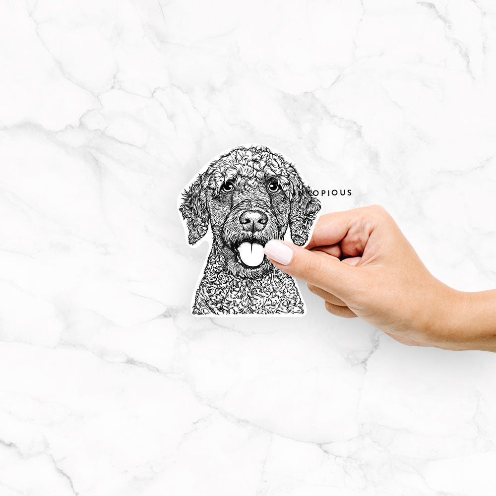 Hand-drawn sketch of Reina the Spanish Water Dog on a Reina SWD decal sticker