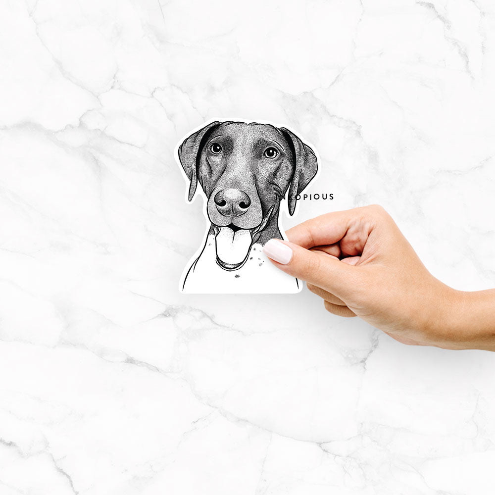 Hand-drawn sketch of Remi the German Shorthaired Pointer on a Remi GSP decal sticker