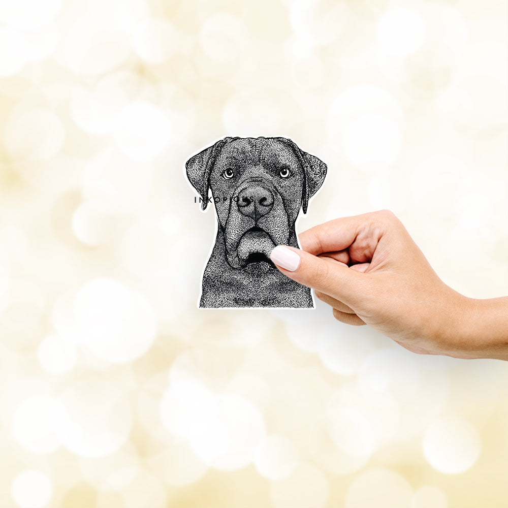 Hand-drawn sketch of Rocco the Cane Corso on a decal sticker