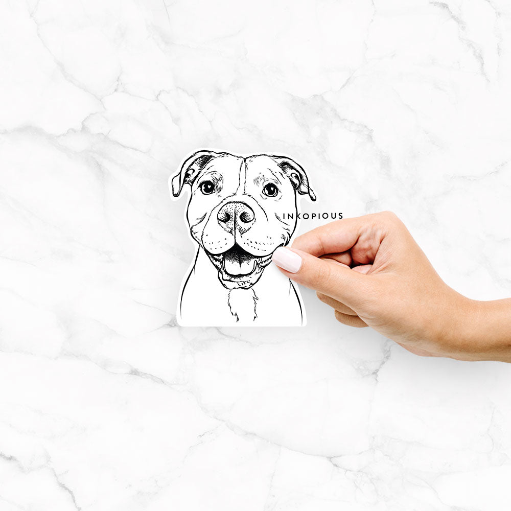 Hand-drawn sketch of Roscoe the Pitbull on a Roscoe Pitbull decal sticker