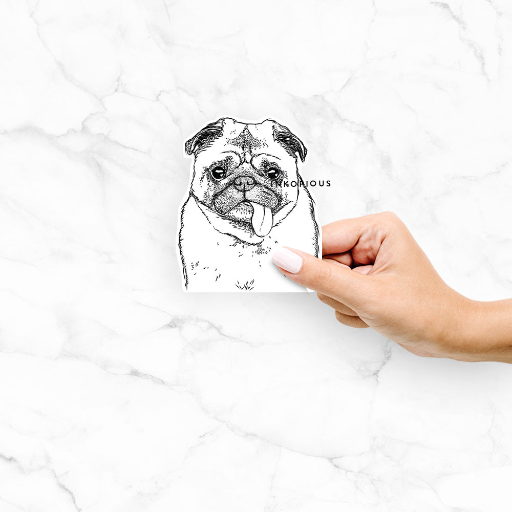 Hand-drawn sketch of Rosie the Pug on a decal sticker