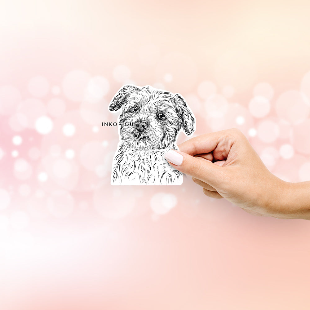 Hand-drawn sketch of Roxie the Schnauzer Shih Tzu Mix on a decal sticker