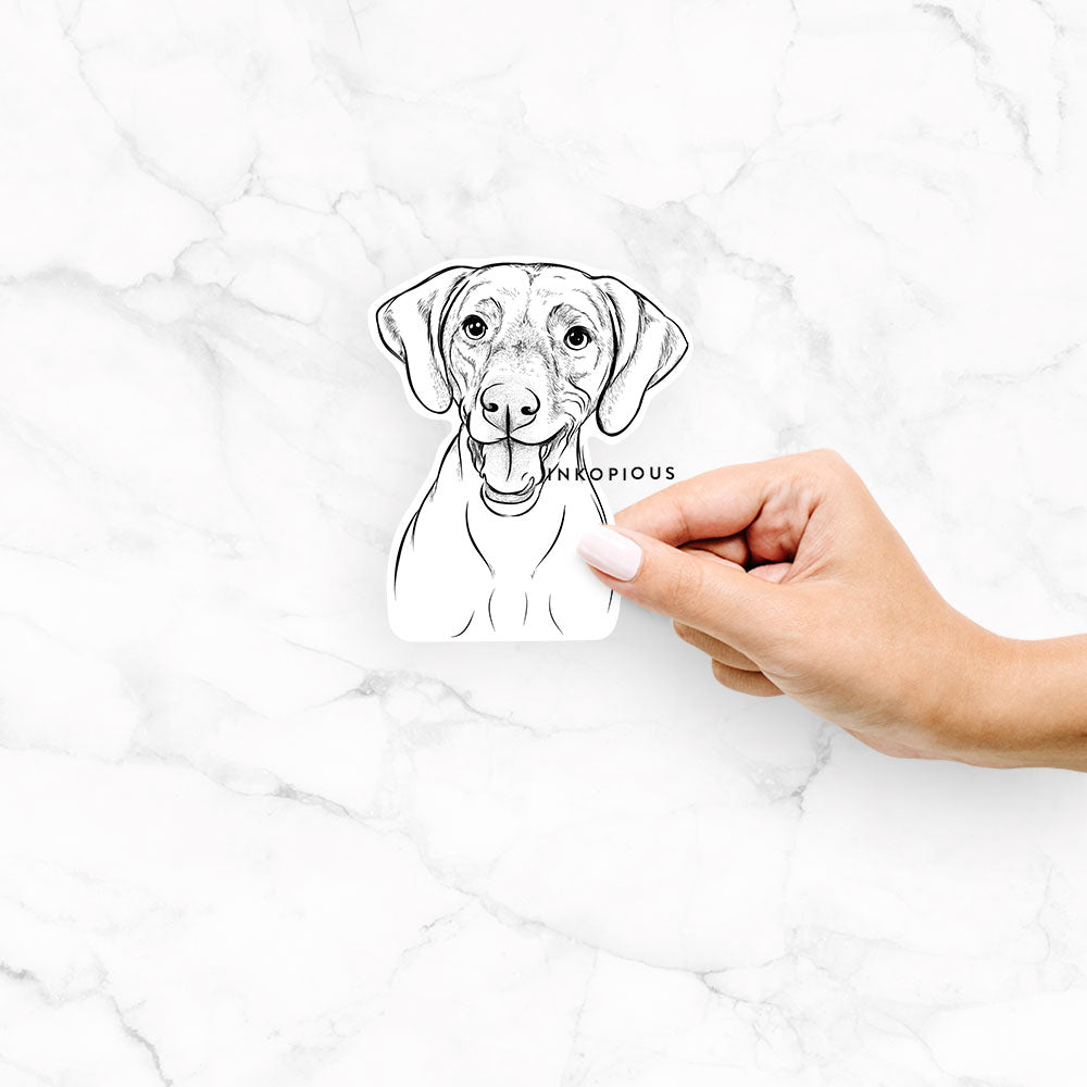Hand-drawn sketch of Ruby the Vizsla on a Ruby Vizsla decal sticker