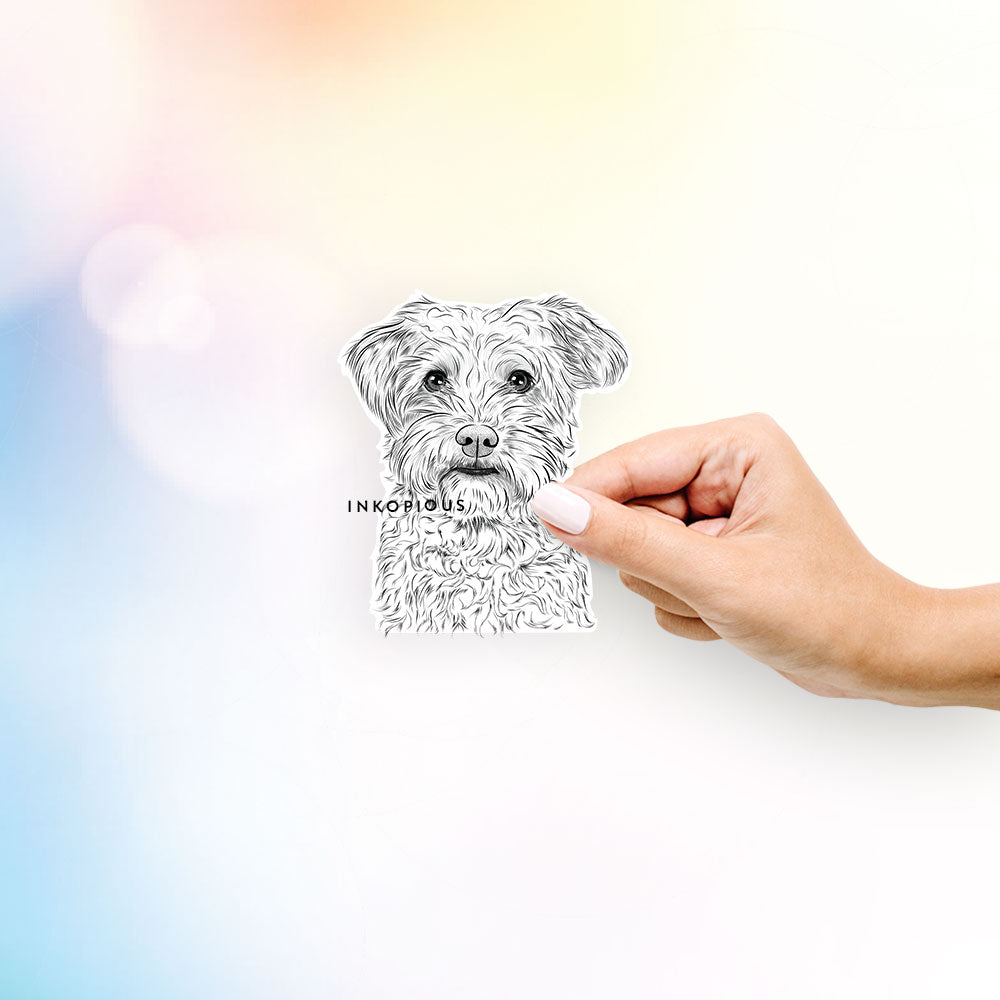 Hand-drawn sketch of Rudy the Schnoodle on a decal sticker