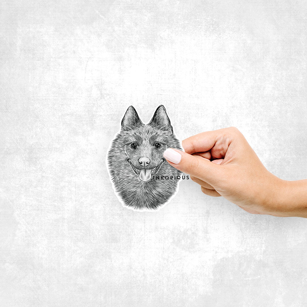 Hand-drawn sketch of Sander the Schipperke on a decal sticker
