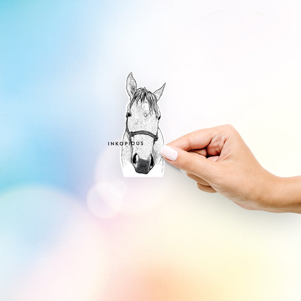 Hand-drawn sketch of SeaBee the Horse on a decal sticker
