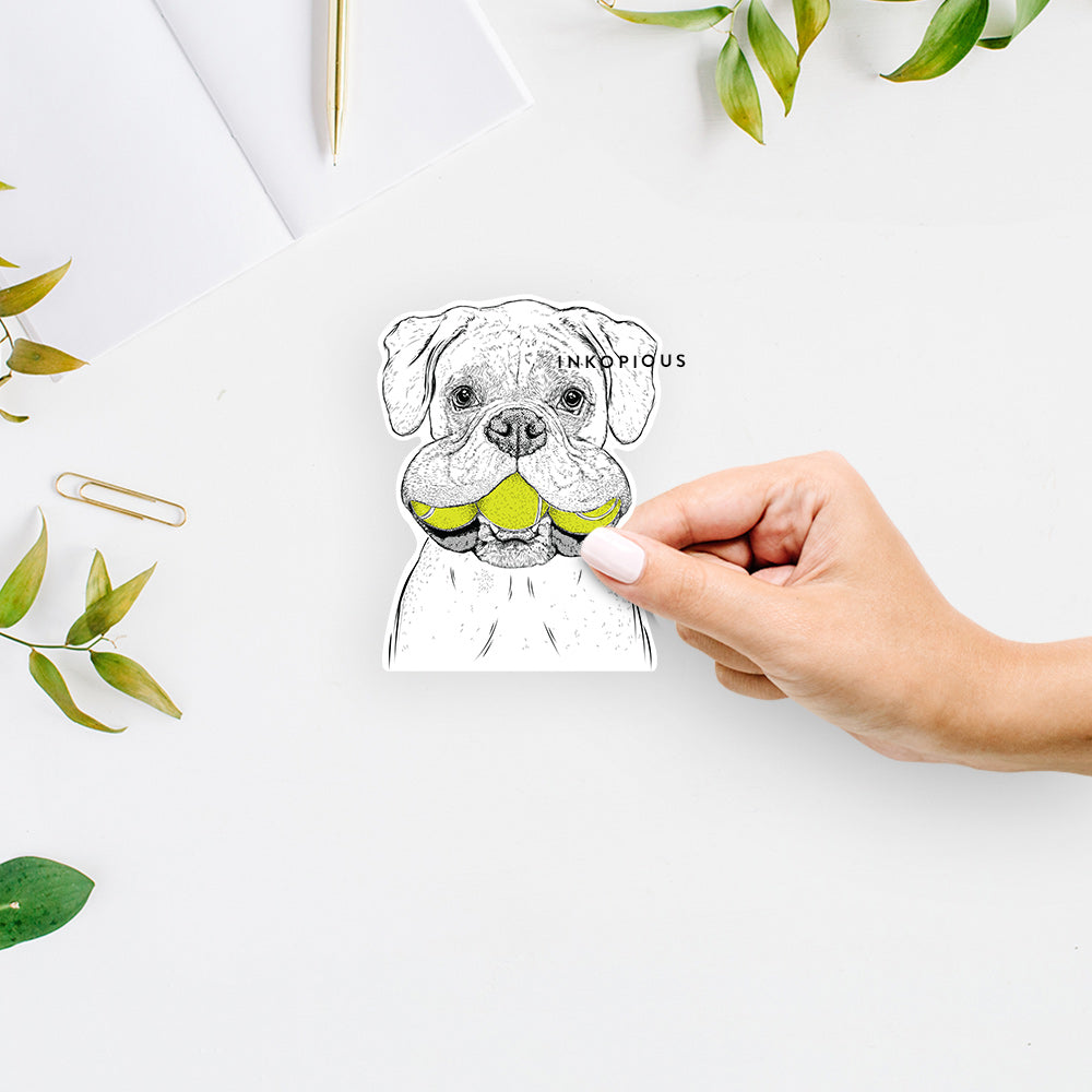 Hand-drawn sketch of Seamus the Boxer on a decal sticker