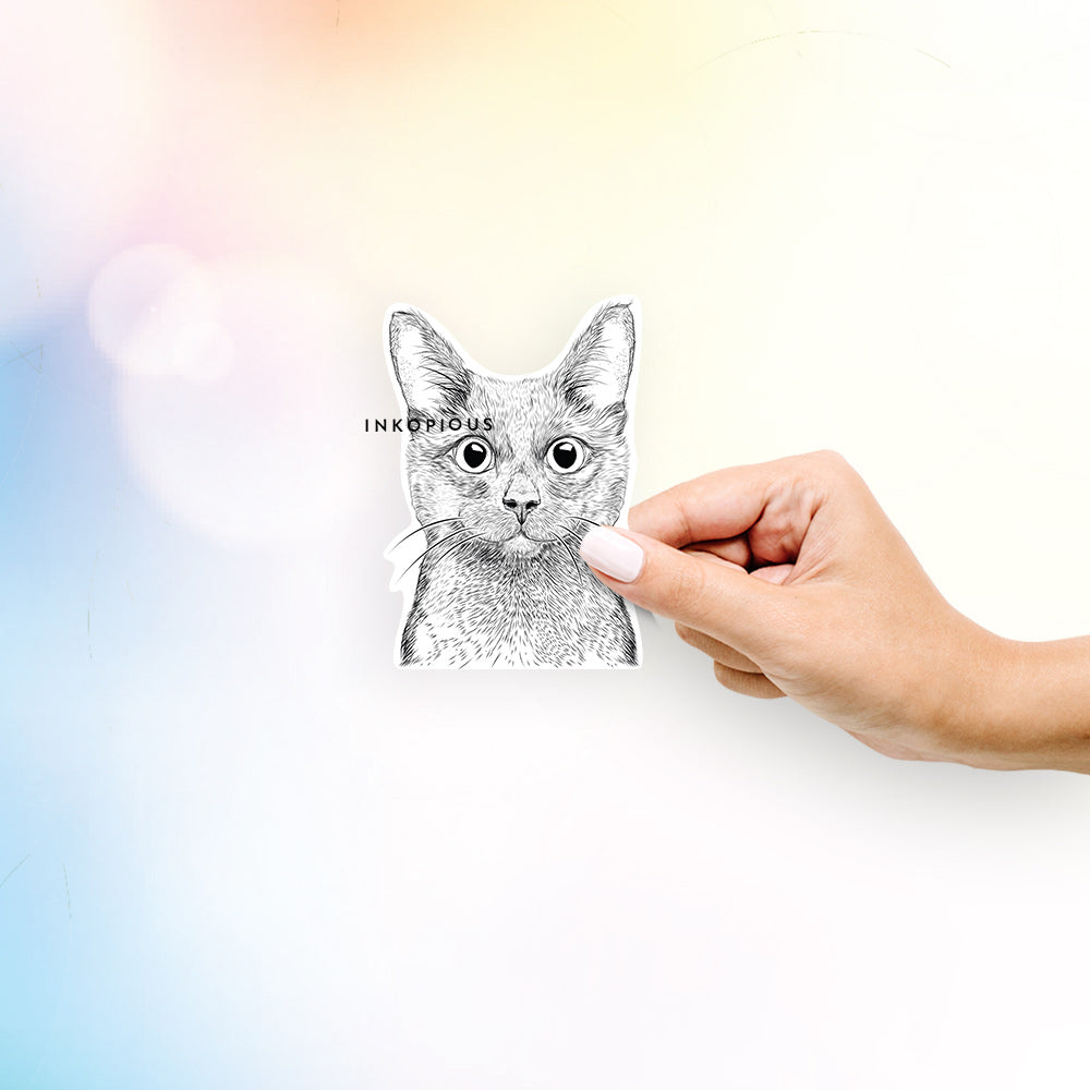 Hand-drawn sketch of Shadow the Black Cat on a decal sticker