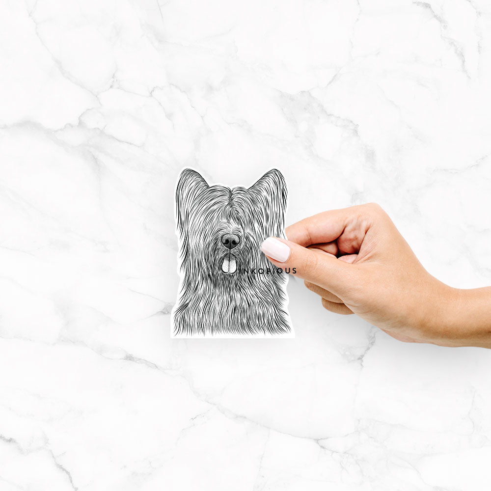 Hand-drawn sketch of Shay the Briard on a decal sticker