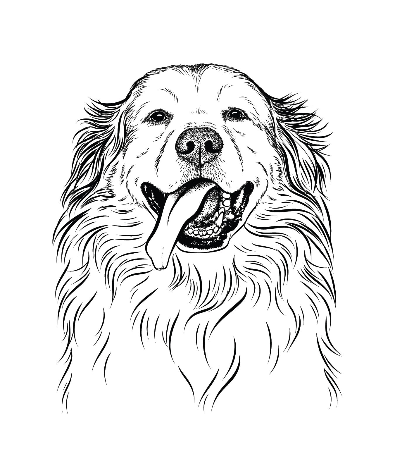 Hand-drawn sketch of Shooter the Golden Retriever on a Shooter Golden decal sticker