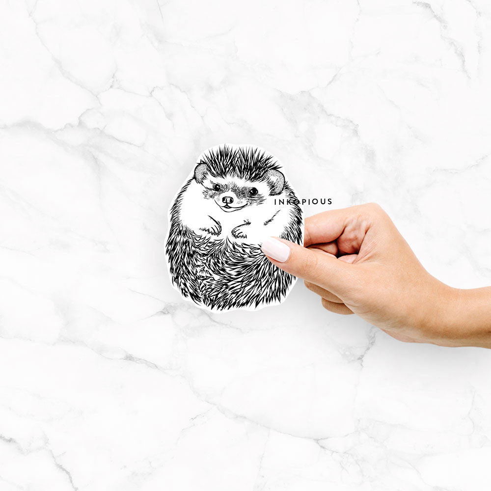 Hand-drawn sketch of Sid the Hedgehog on a Sid Hedgehog decal sticker