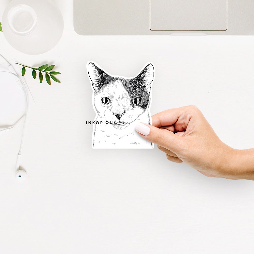 Hand-drawn sketch of Smeagol the Cat on a decal sticker