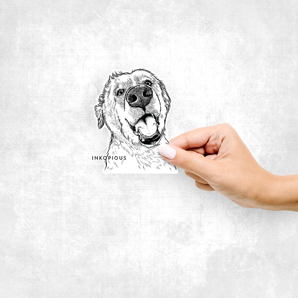 Hand-drawn sketch of Happy Smokey Jam the Middle Eastern Village Dog on a Smokey Grin decal sticker