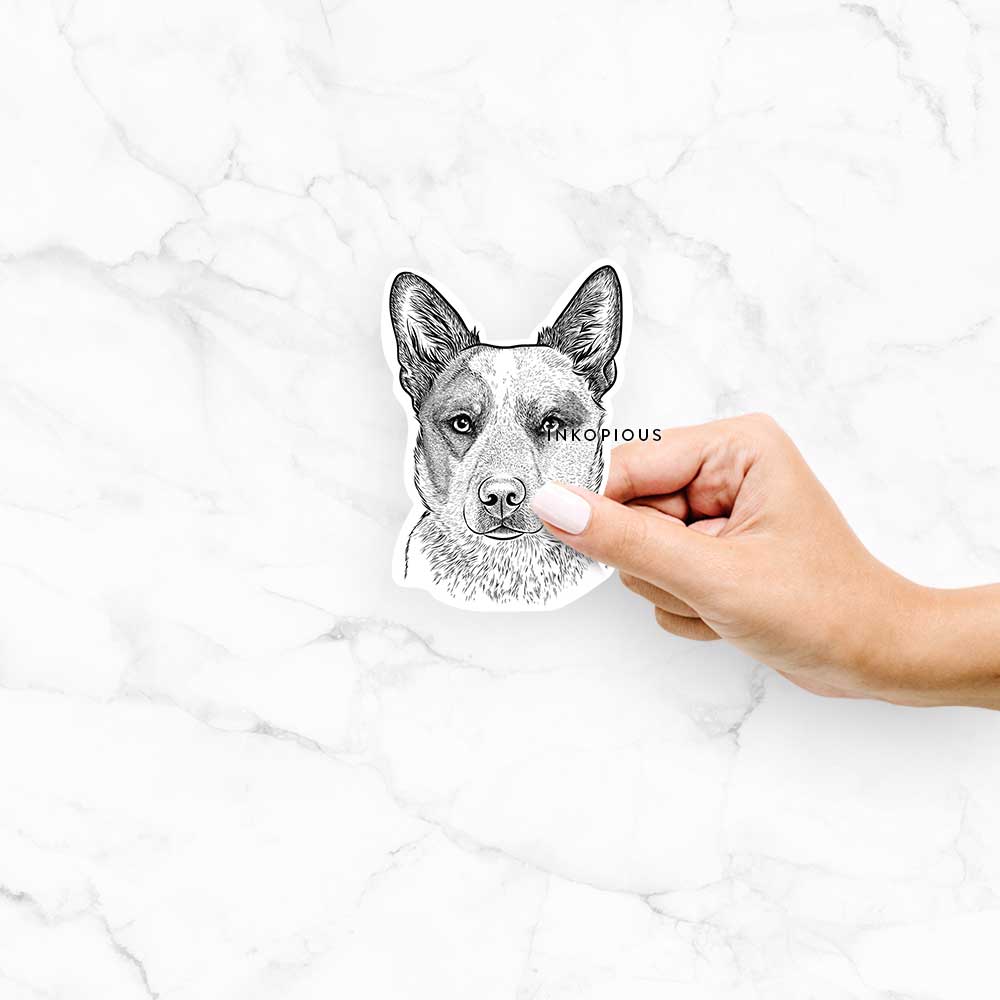 Hand-drawn sketch of Snap the Australian Cattle Dog on a Snap ACD decal sticker