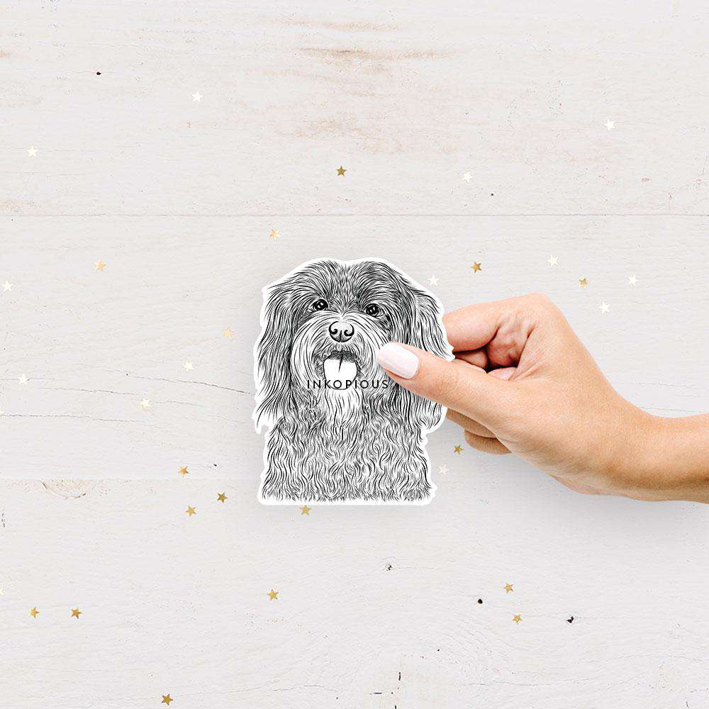 Hand-drawn sketch of Sophie the Havanese on a decal sticker