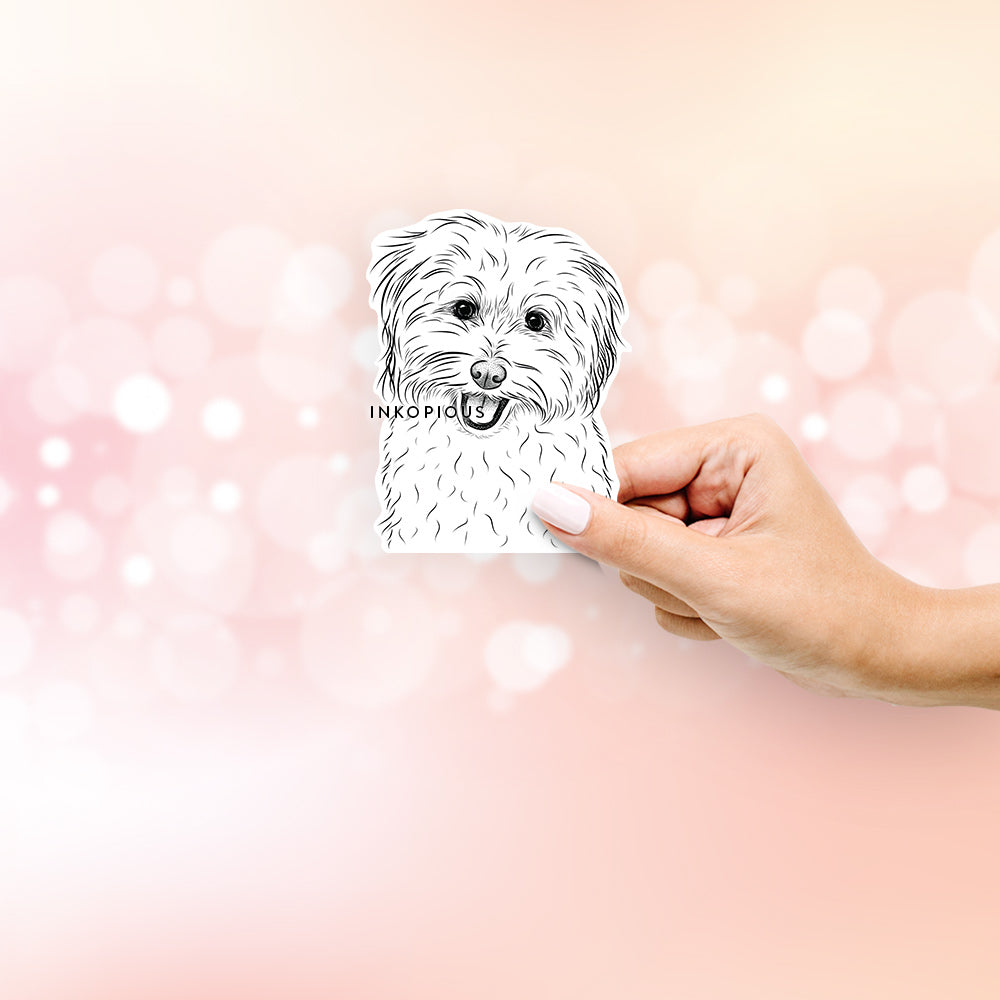 Hand-drawn sketch of Sophie Quinn the Havanese on a decal sticker