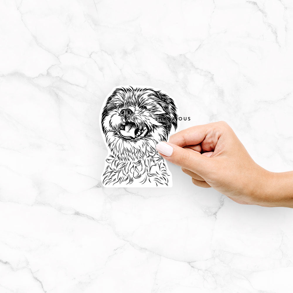 Hand-drawn sketch of Sugar the Malshi on a Sugar Malshi decal sticker