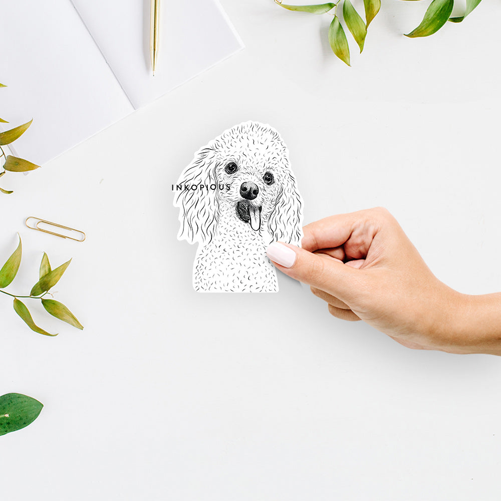 Hand-drawn sketch of Super Joey the Toy Poodle on a decal sticker
