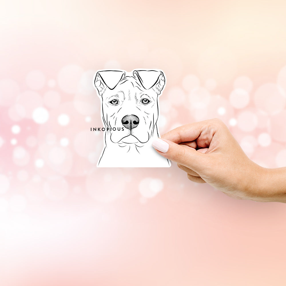 Hand-drawn sketch of Sweet Finn the Mixed Breed on a decal sticker