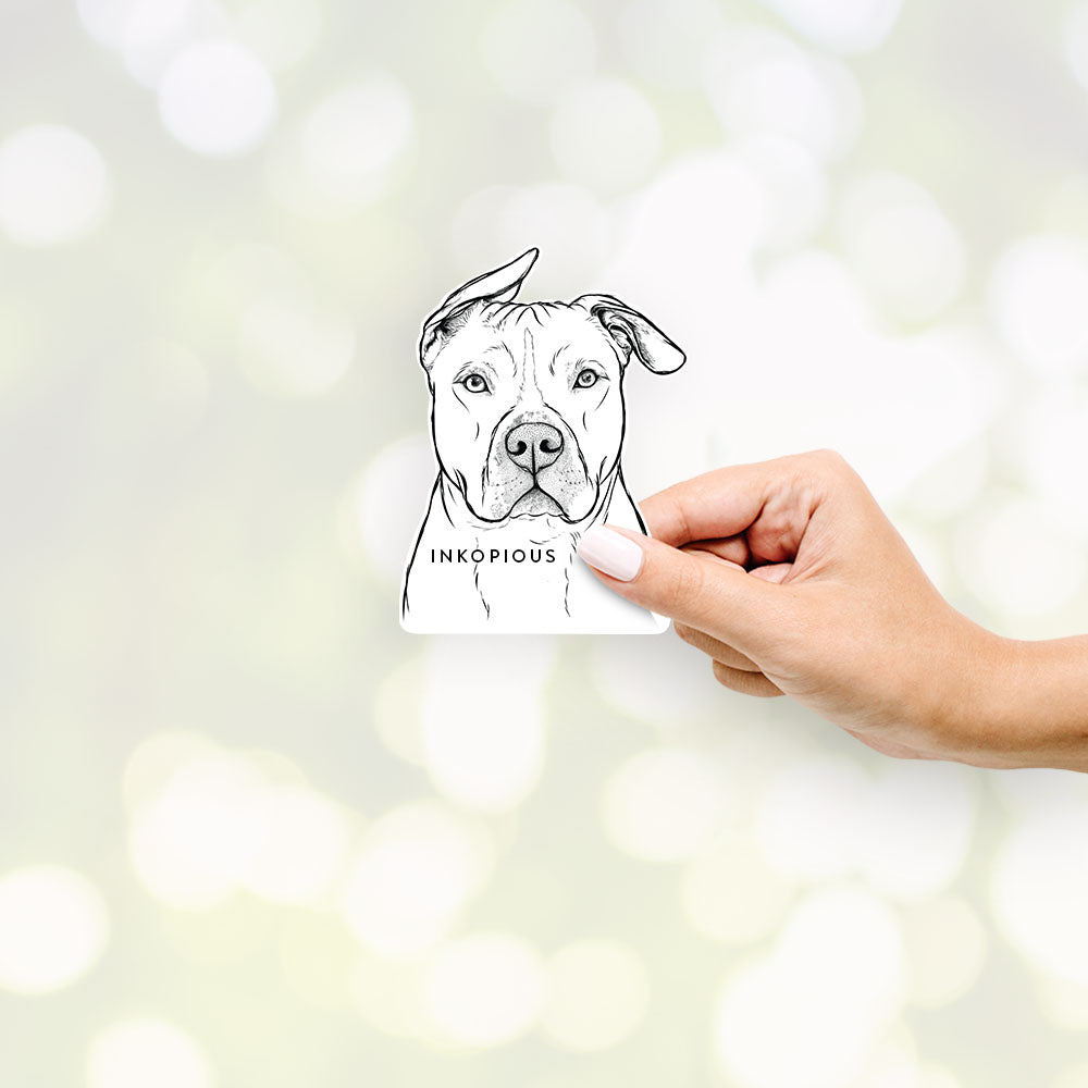Hand-drawn sketch of Teddy Jam the Pitbull on a decal sticker