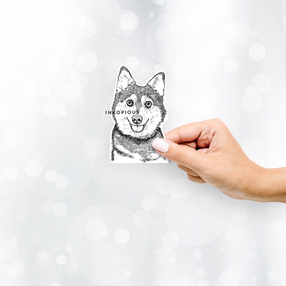 Hand-drawn sketch of Tellie the Alaskan Klee Kai on a decal sticker