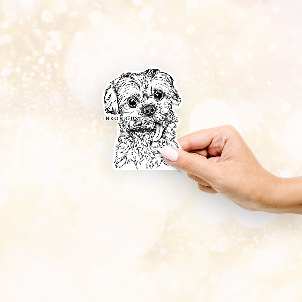 Hand-drawn sketch of Tiny Titan the Shih Tzu on a decal sticker