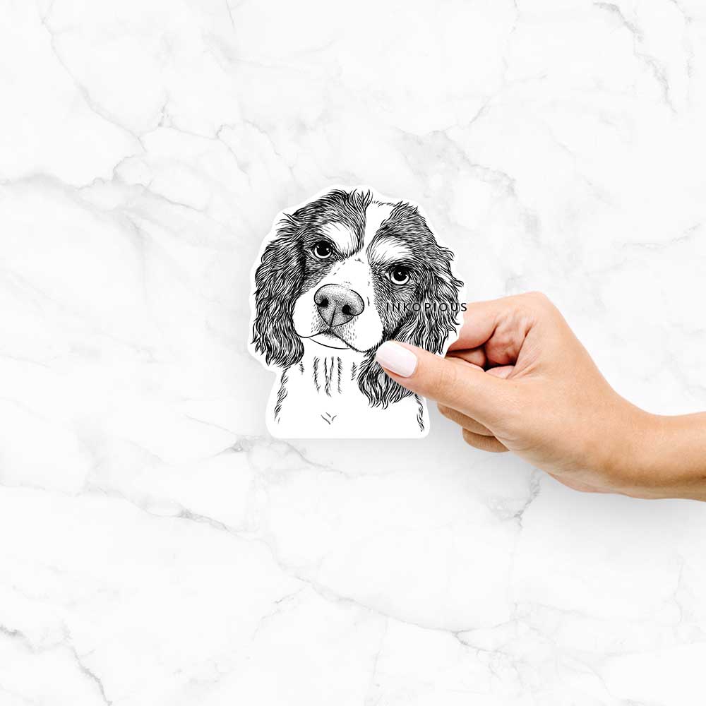 Hand-drawn sketch of Truman the Cavalier King Charles Spaniel on a Truman Cav King Charles decal sticker