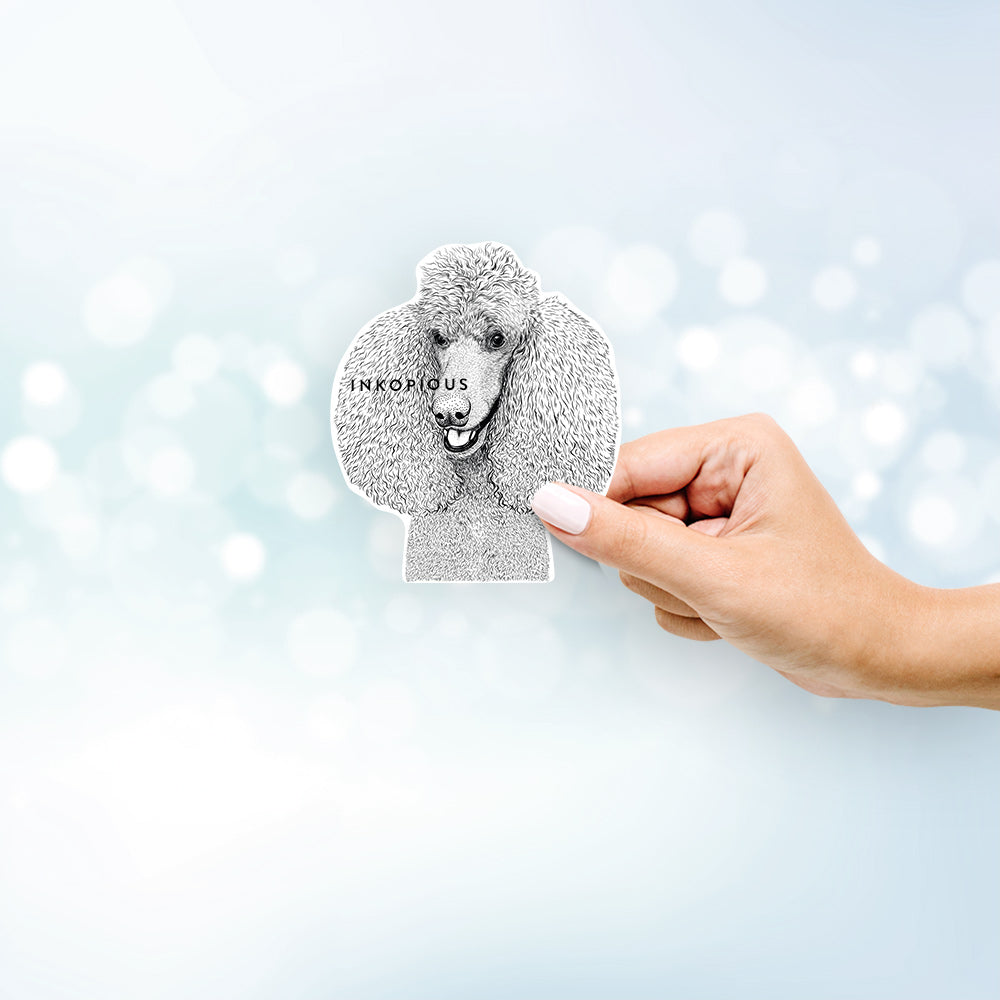 Hand-drawn sketch of Uncle Tucker the Standard Poodle on a decal sticker