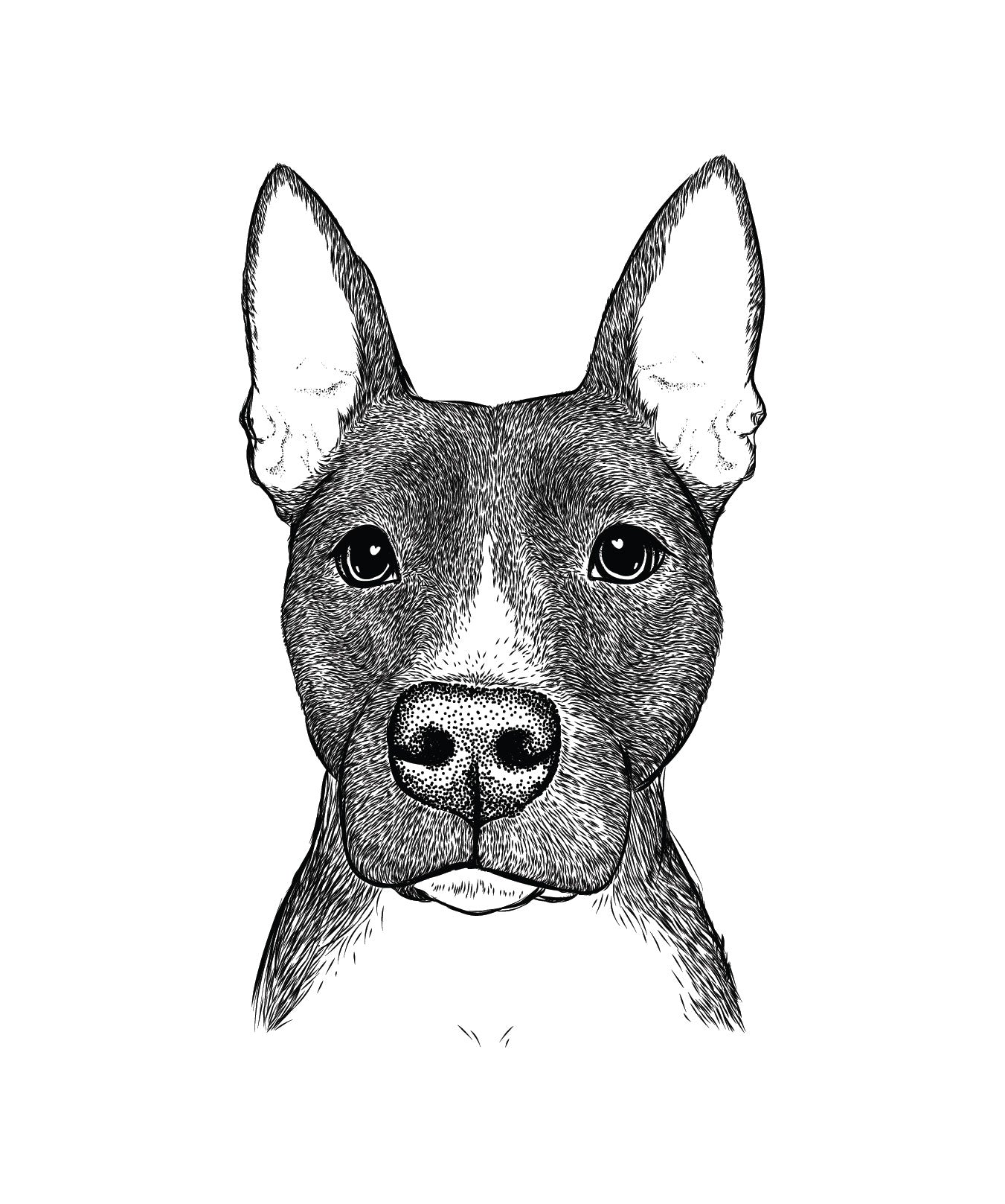 Hand-drawn sketch of Violet the Pitbull on a Violet Pittie decal sticker