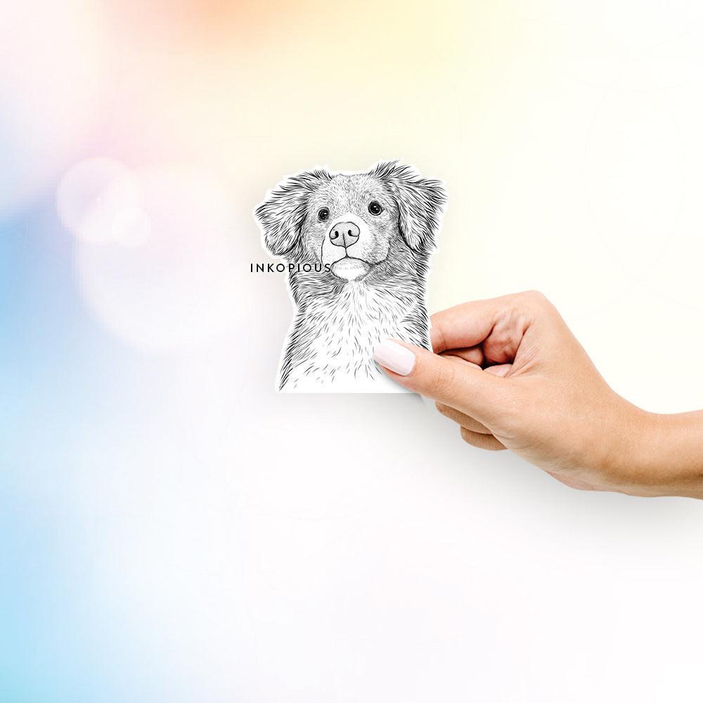 Hand-drawn sketch of Vixen the Nova Scotia Duck Tolling Retriever on a decal sticker