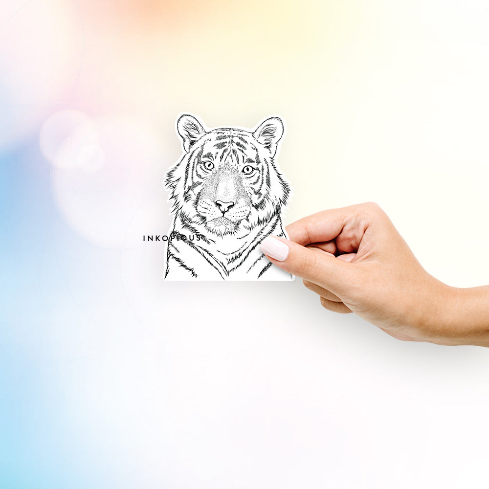Hand-drawn sketch of Wayne the Bengal Tiger on a decal sticker