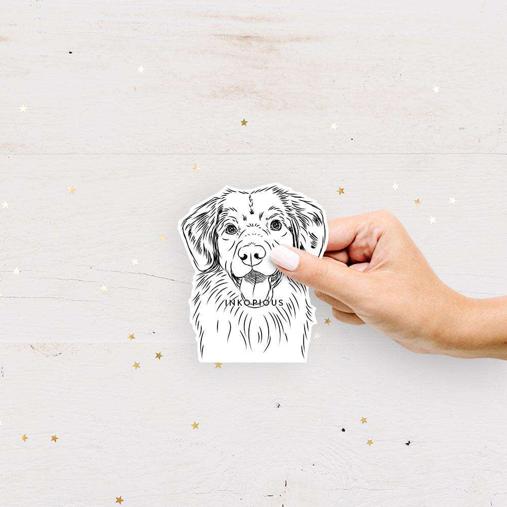 Hand-drawn sketch of Weston the Nova Scotia Duck Tolling Retriever on a decal sticker