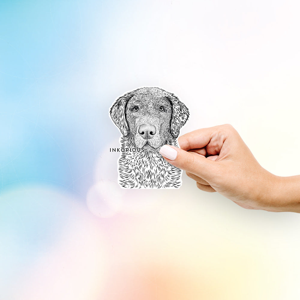 Hand-drawn sketch of Whiskey the Chocolate Lab on a decal sticker