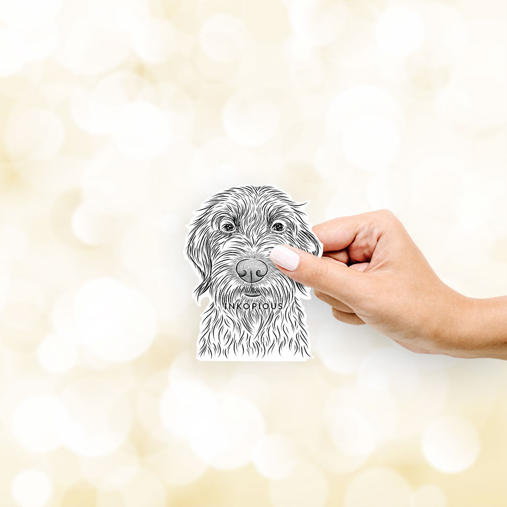 Hand-drawn sketch of Wilkins the Wirehaired Pointed Griffon on a decal sticker