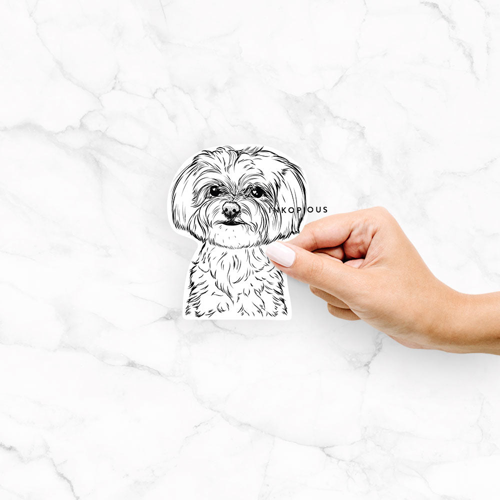 Hand-drawn sketch of Willow the Maltese on a Willow Maltese decal sticker