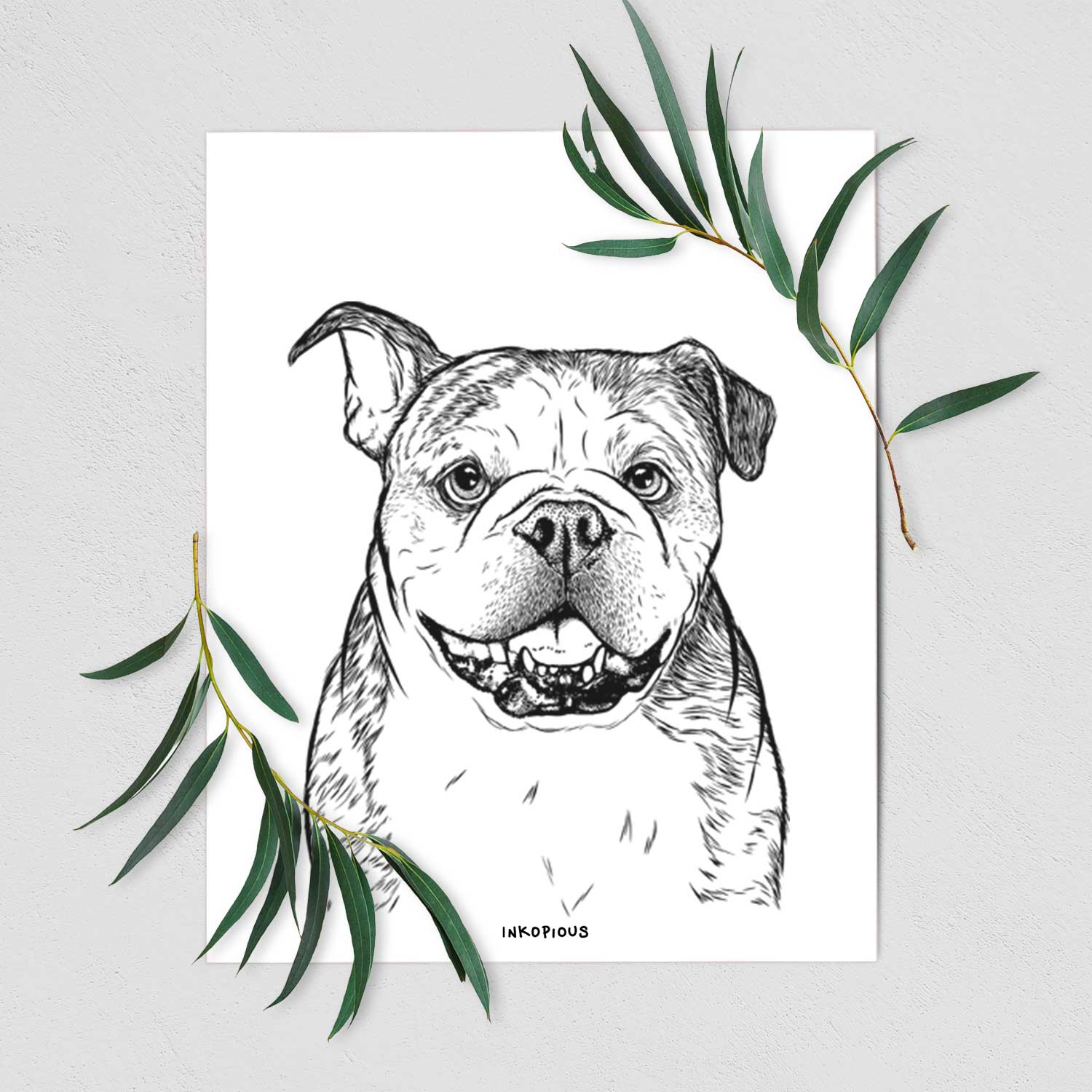 Agatha the Boston Bulldog Art Print