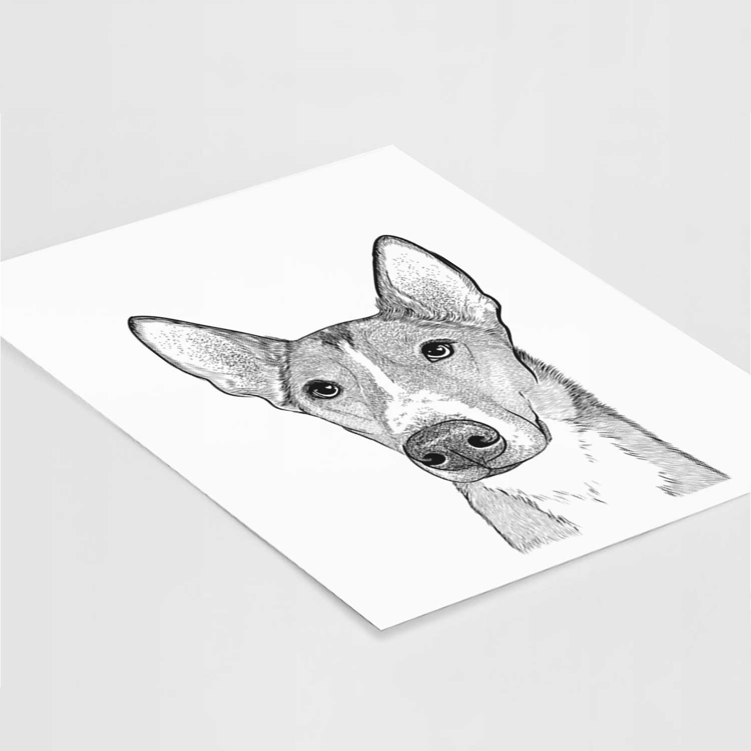 Anubis the Alaskan Husky Art Print