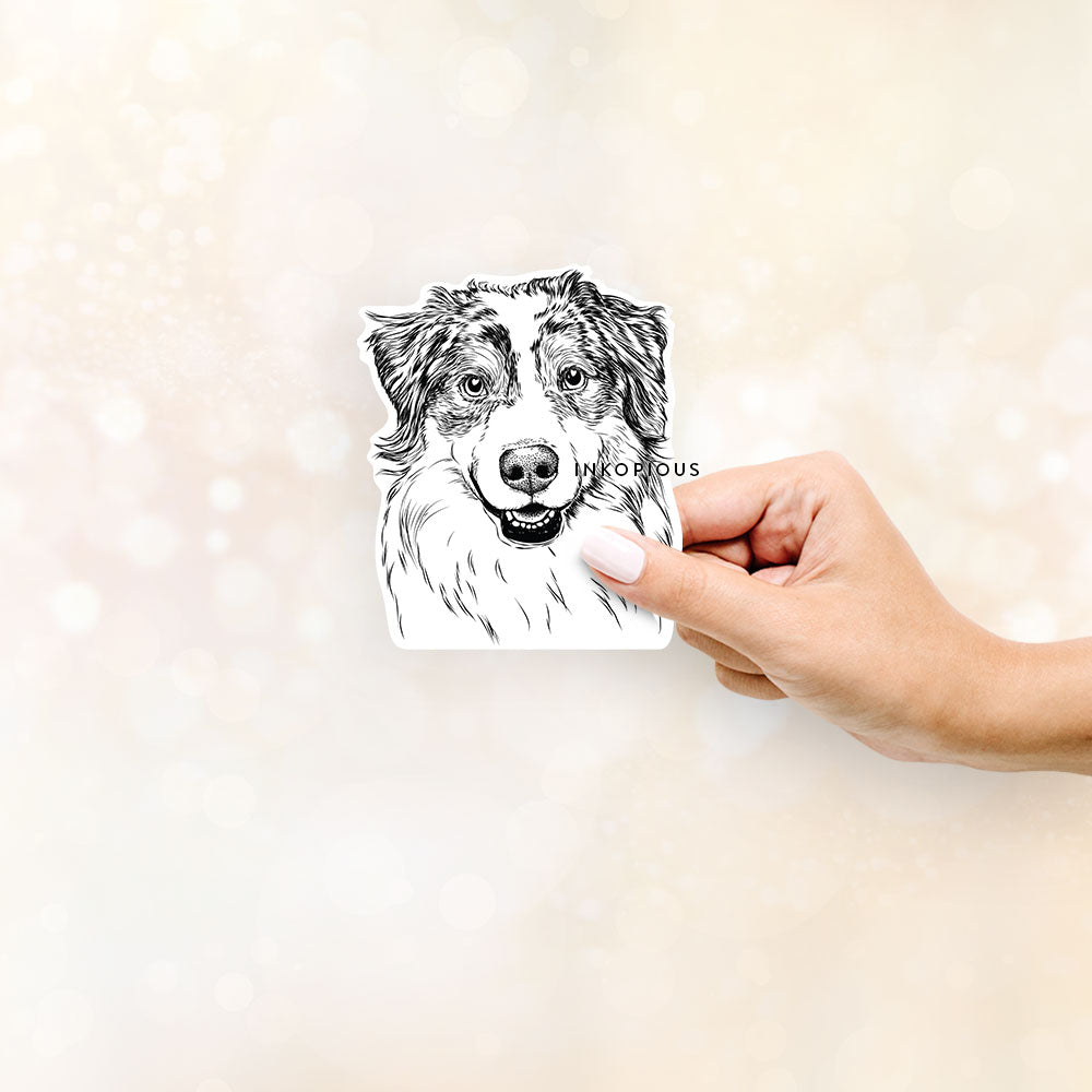 Hand-drawn sketch of Aonghus the Australian Shepherd on a decal sticker