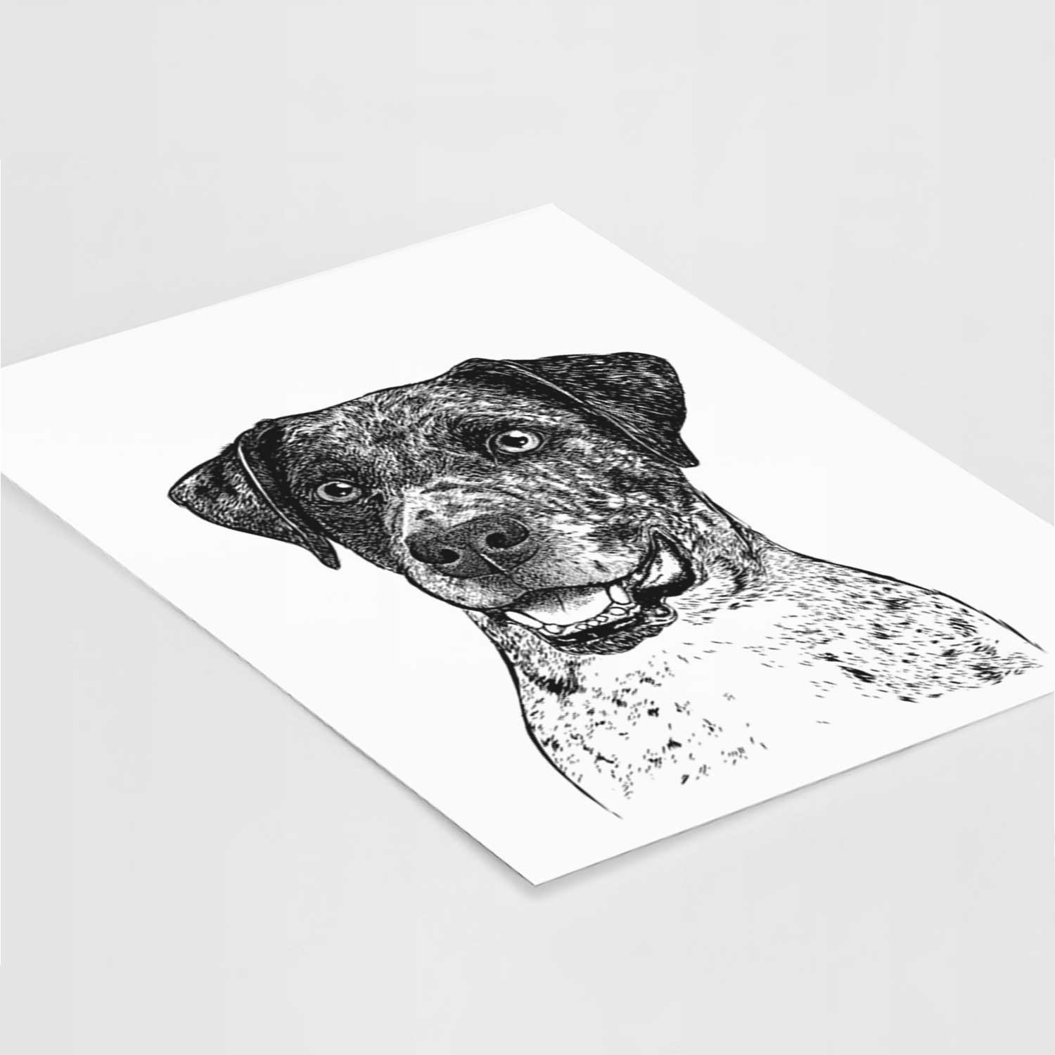 Argos the Catahoula Art Print
