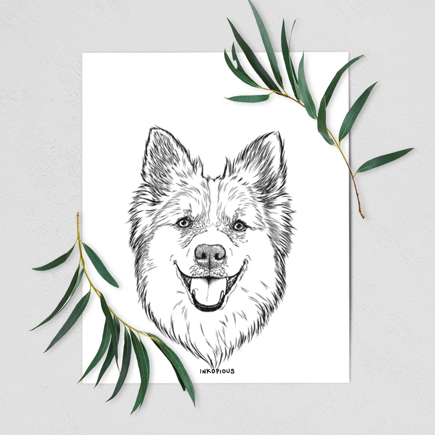 Ari the Icelandic Sheepdog Art Print