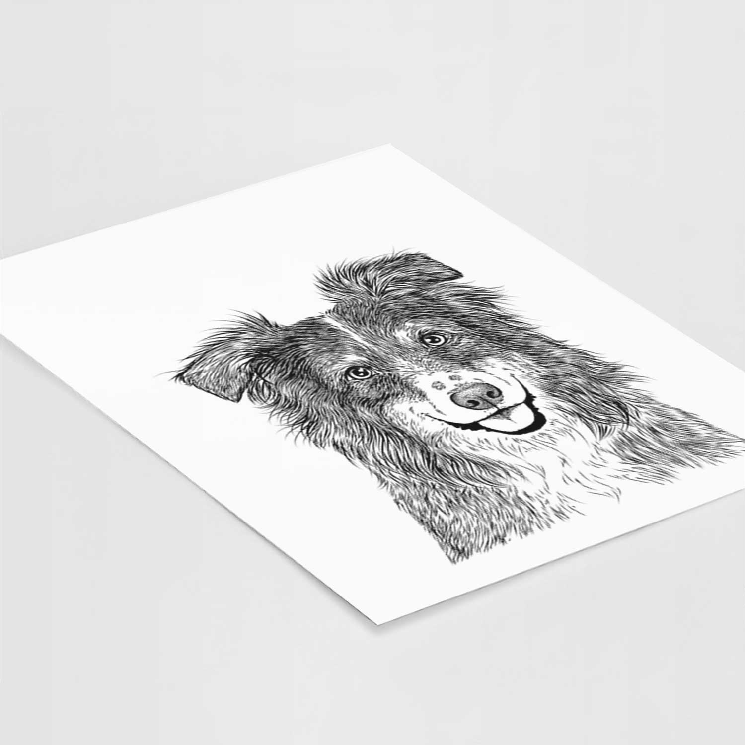 Aushe the Australian Shepherd Art Print