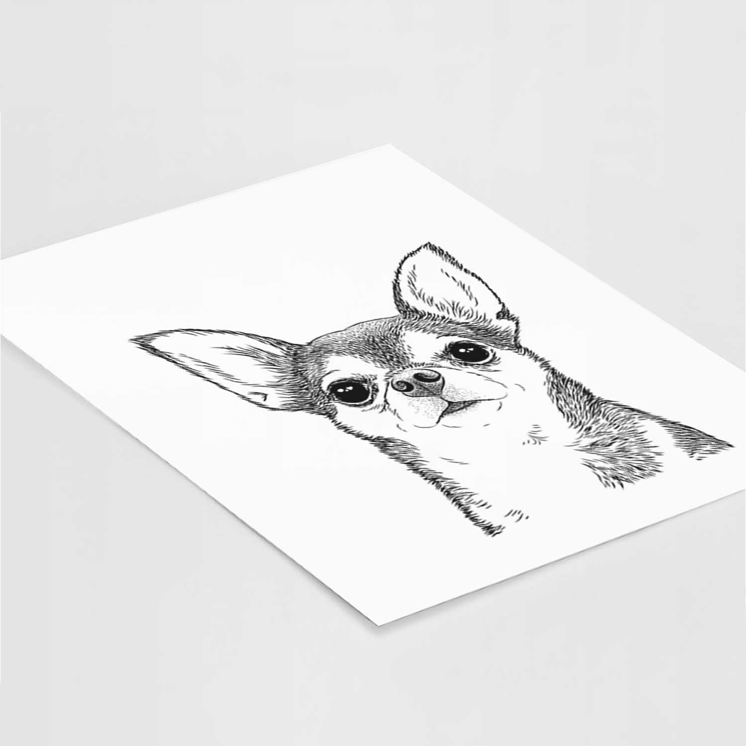 Baby the Chihuahua Art Print