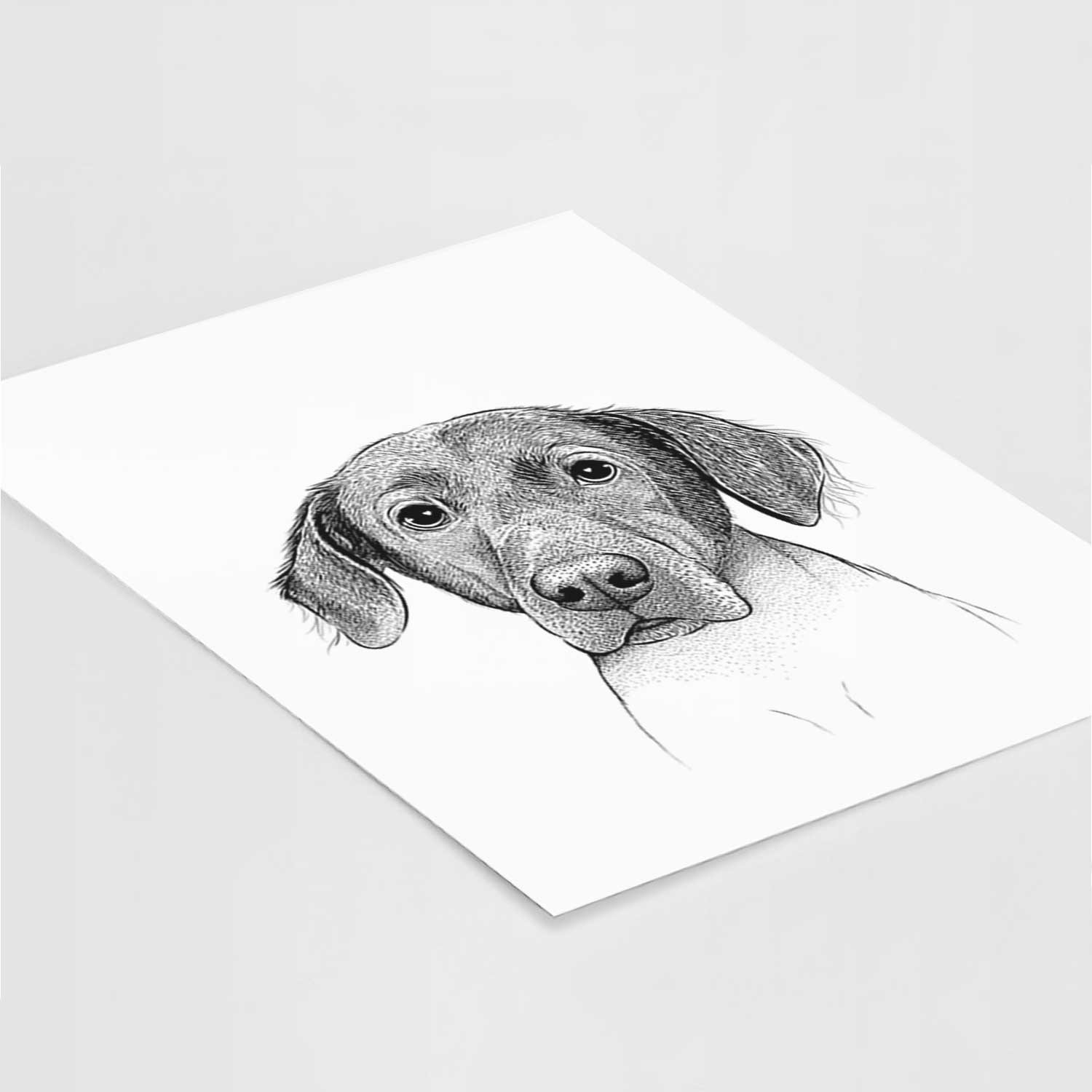 Baldwin the Mixed Breed Art Print