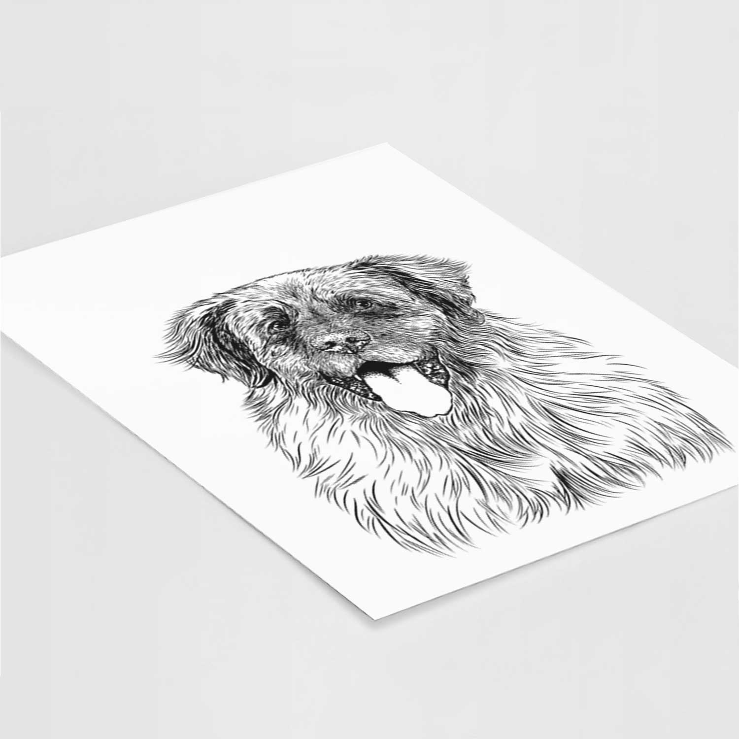 Bamboo the Leonberger Art Print