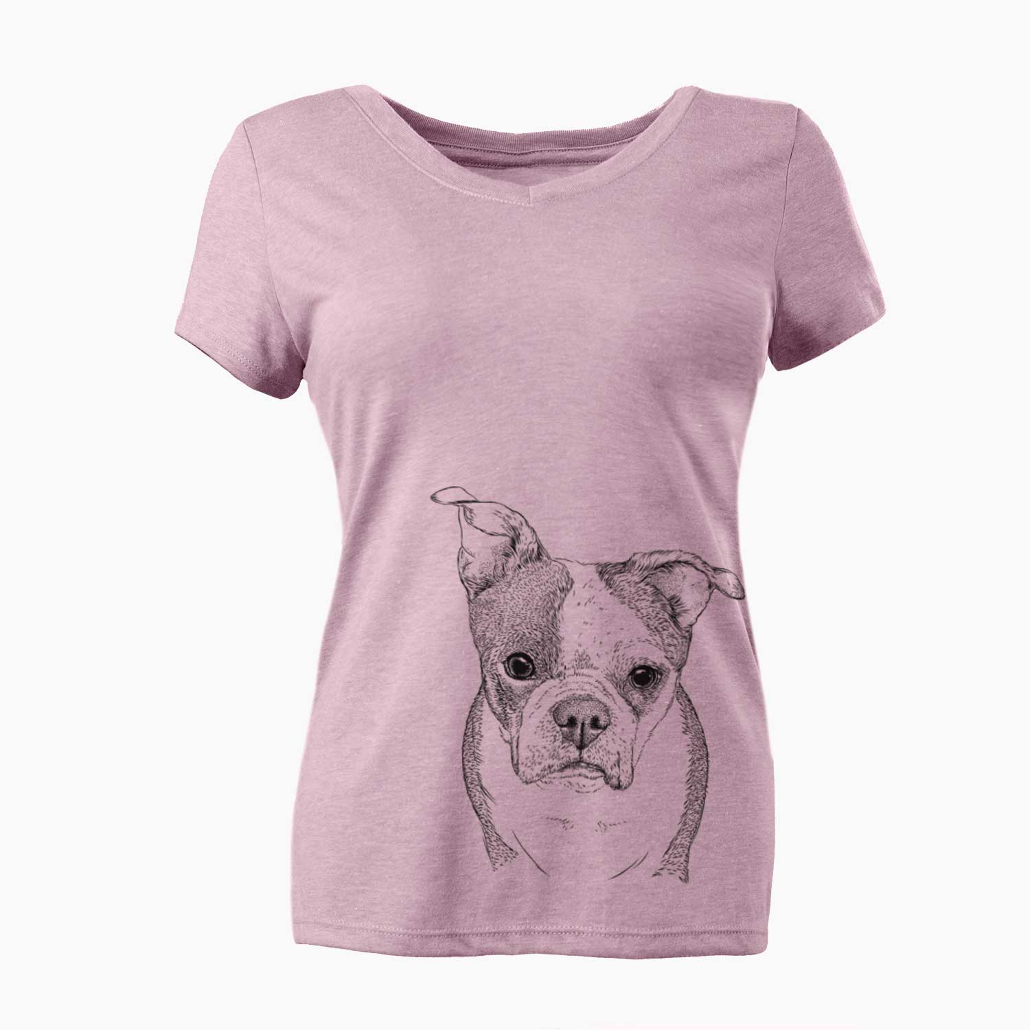 Bare Bandit the Boston Terrier - Women's V-neck Shirt