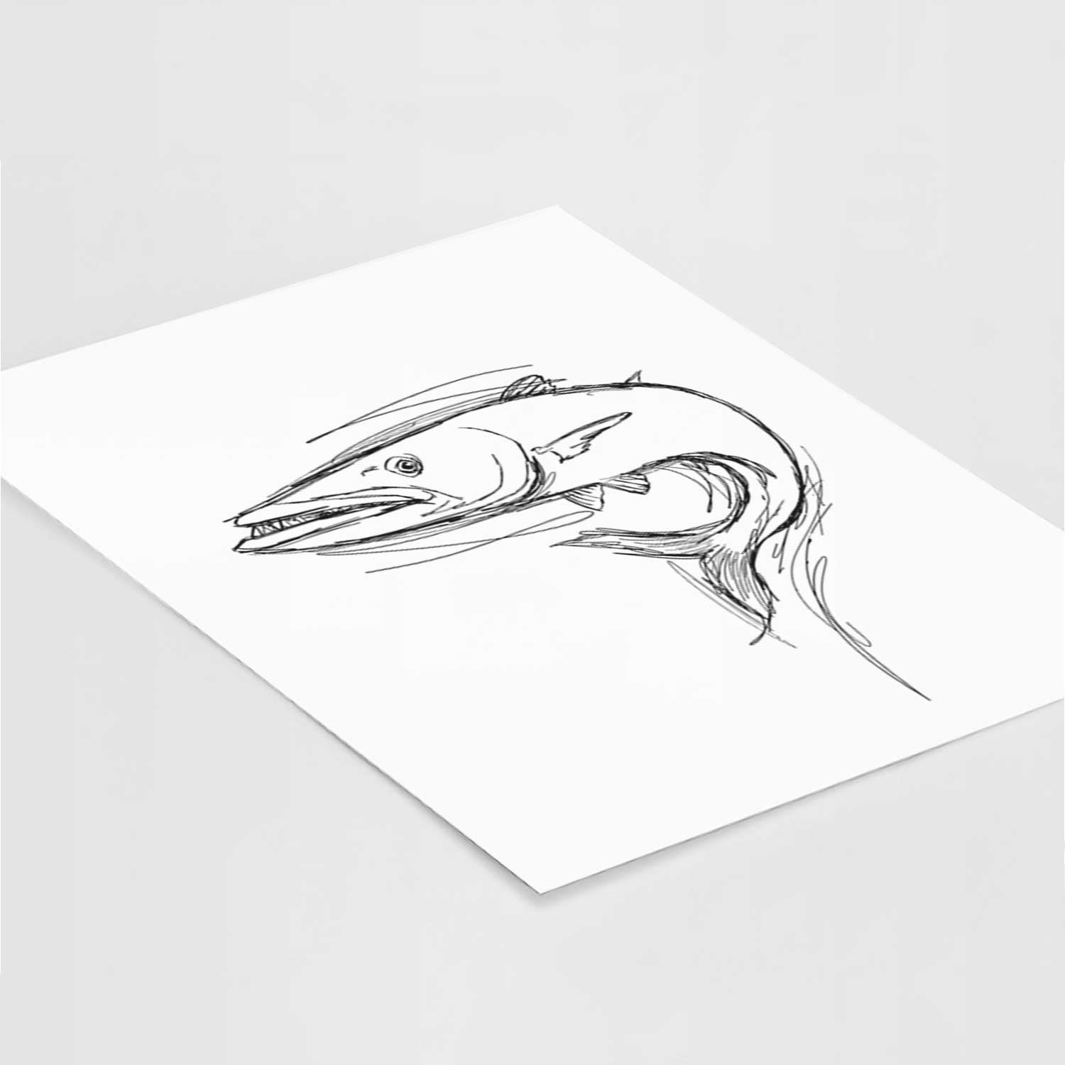 Barry the Barracuda Art Print