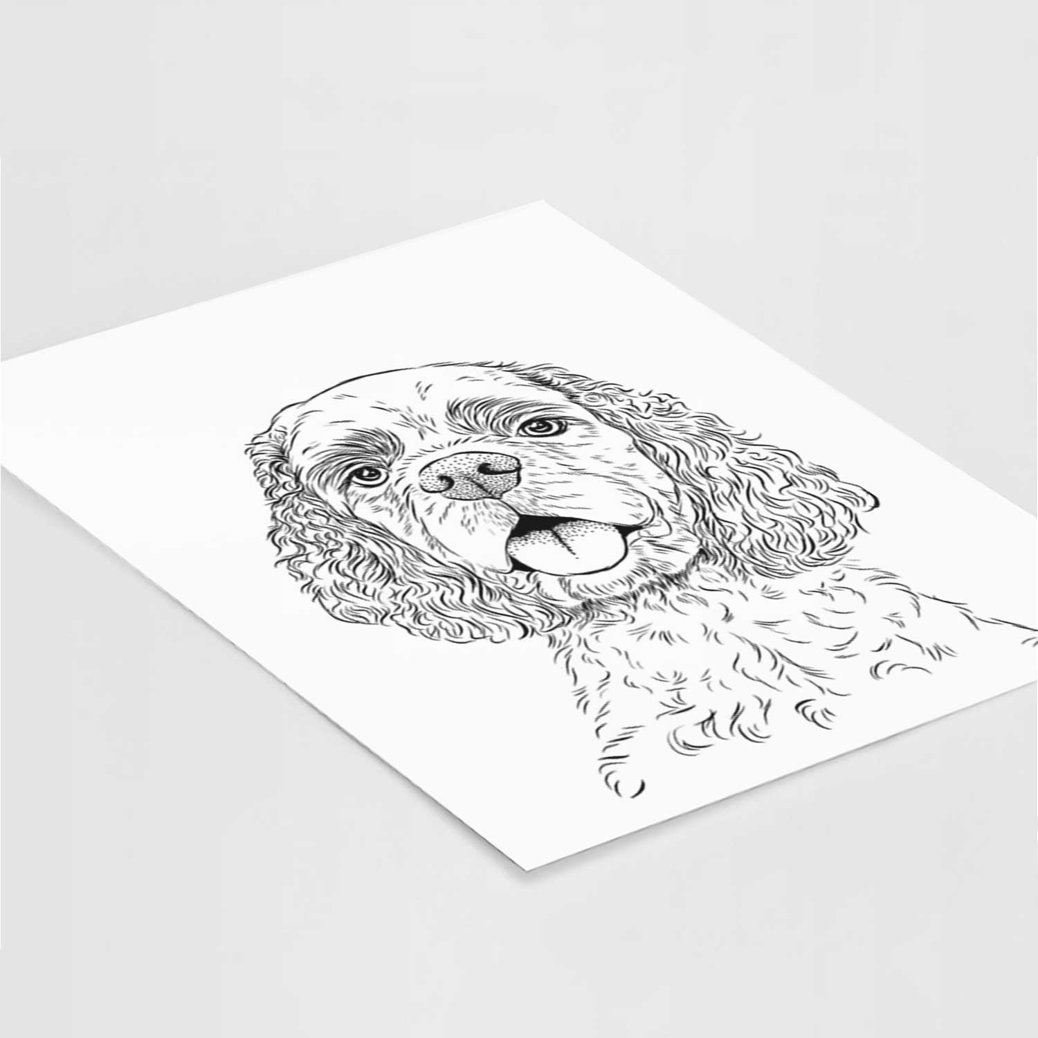 Baxter the American Cocker Spaniel Art Print