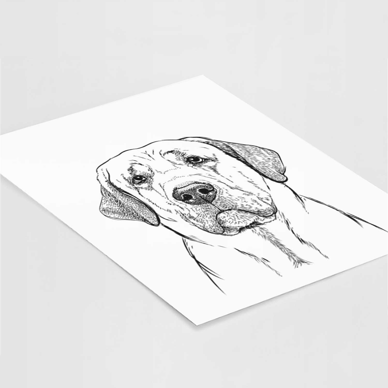 Beau the Broholmer Art Print