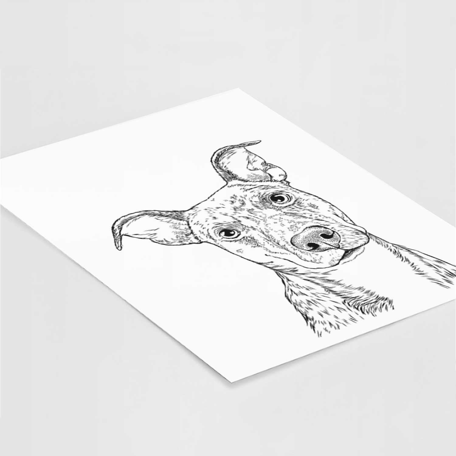 Bianca the Mixed Breed Art Print