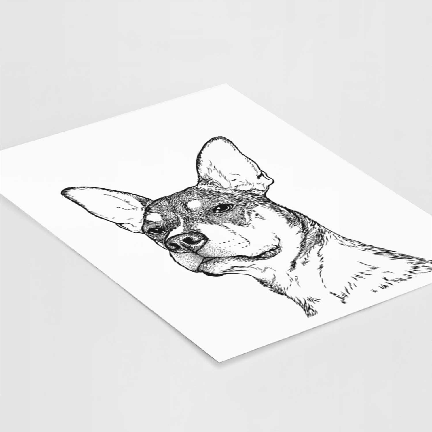 Bill the Heeler Mix Art Print